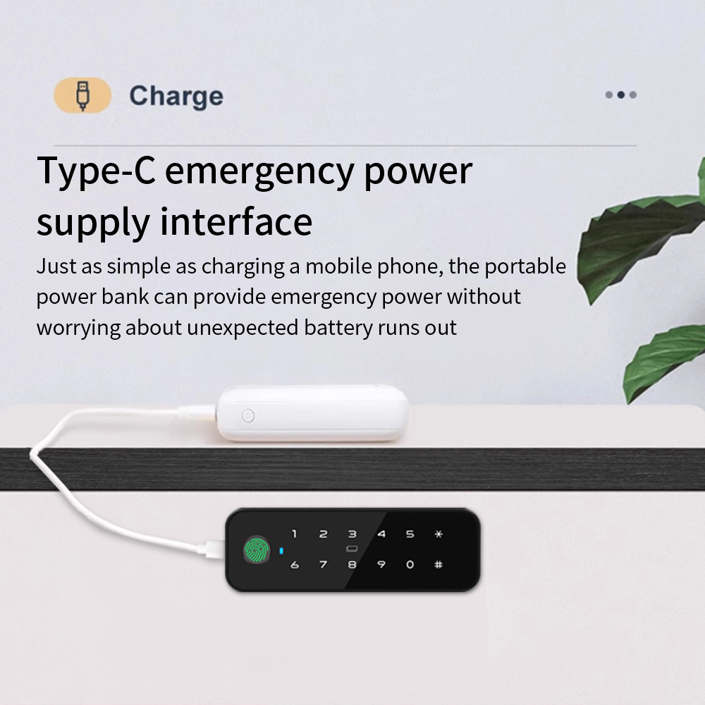 Tuya Bluetooth スマート木製キャビネット指紋ロ - Furniture Hardware Locks のレビューと価格